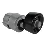 Tensor da Correia Auxiliar do Hyundai Elantra, Santa Fé, Sonata e outros - Dayco APV2989