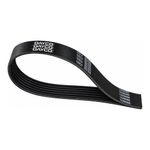 Correia Auxiliar do Ford Cargo e Scania P 124 - Dayco 8PK2135HD